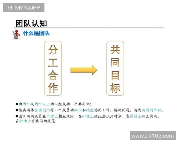 上海排球队的力量变革引发热议新策略与团队协作的深度分析