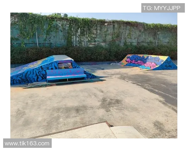 成都滑板队灵活性对比独家解析与发展潜力探讨